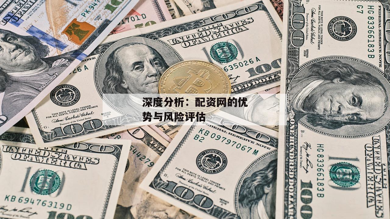 深度分析：配资网的优势与风险评估