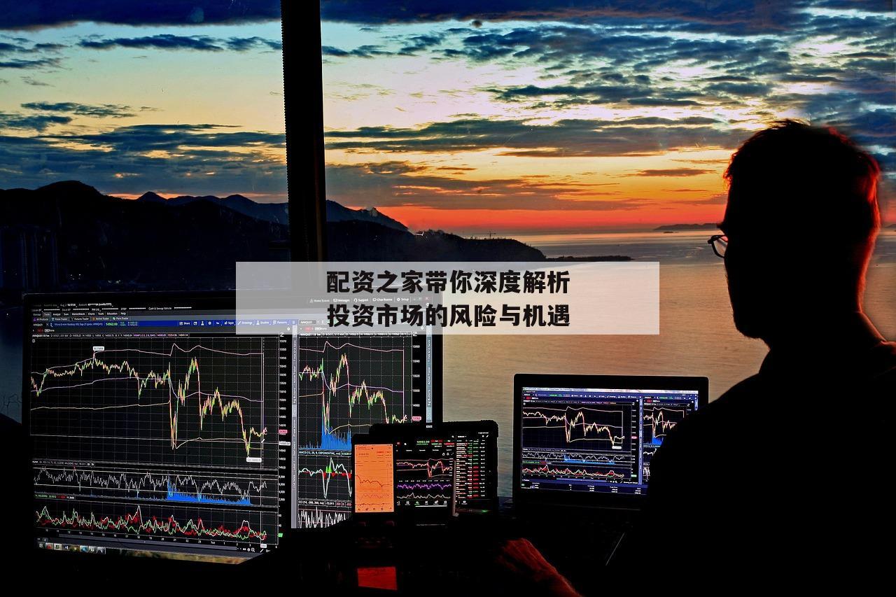 配资之家带你深度解析投资市场的风险与机遇